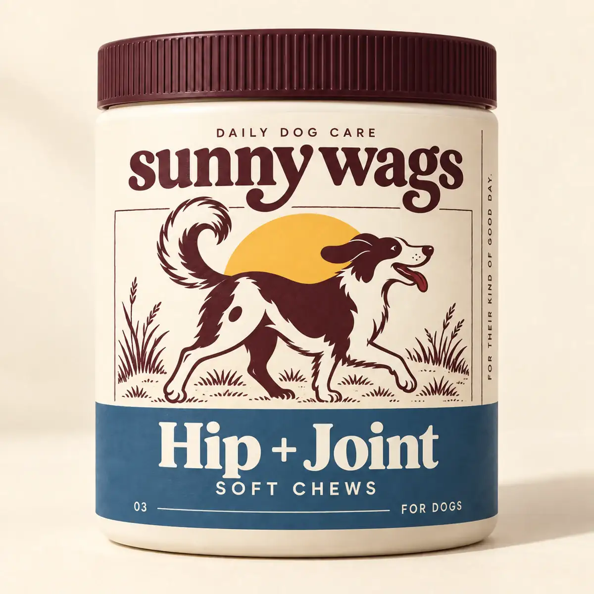 Hip + Joint