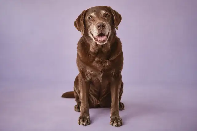 Senior days everyday care