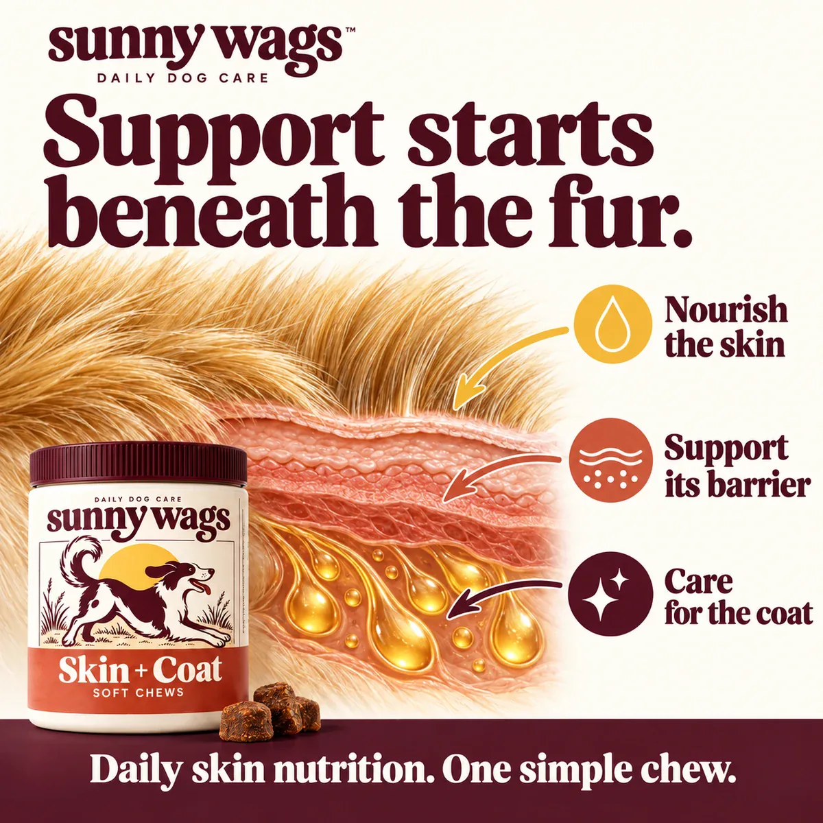 How daily skin nutrition supports skin, barrier and coat.