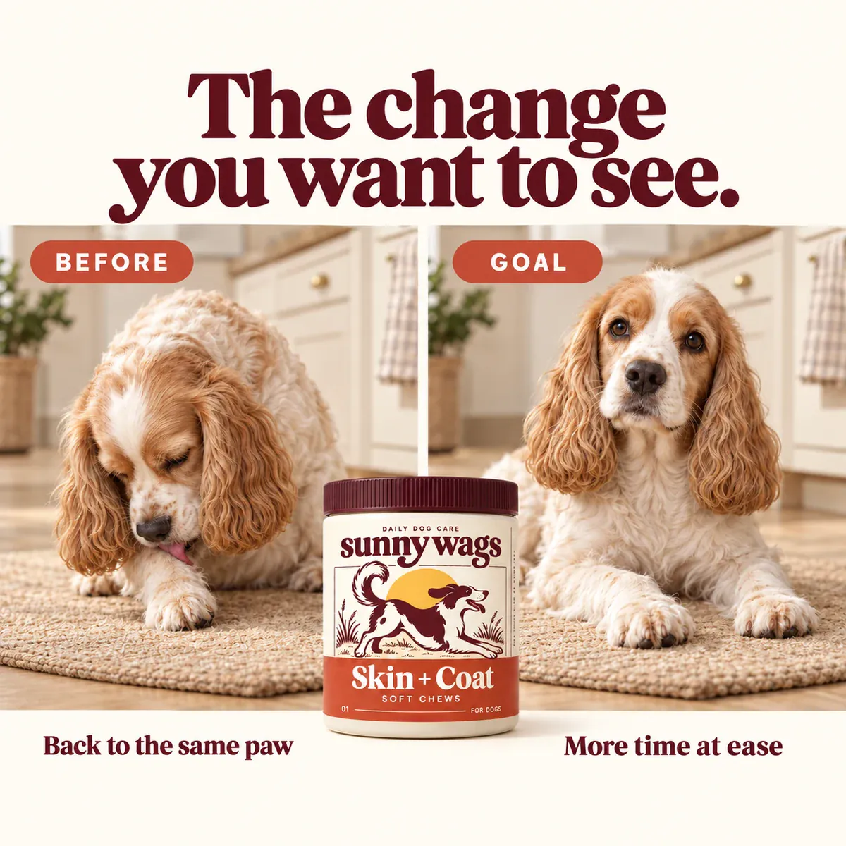 Every dog is different. Keep track of their everyday comfort.