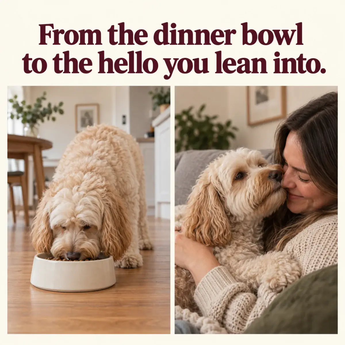 Every dog is different. Keep track of breath, normal eating and the brushing habit.