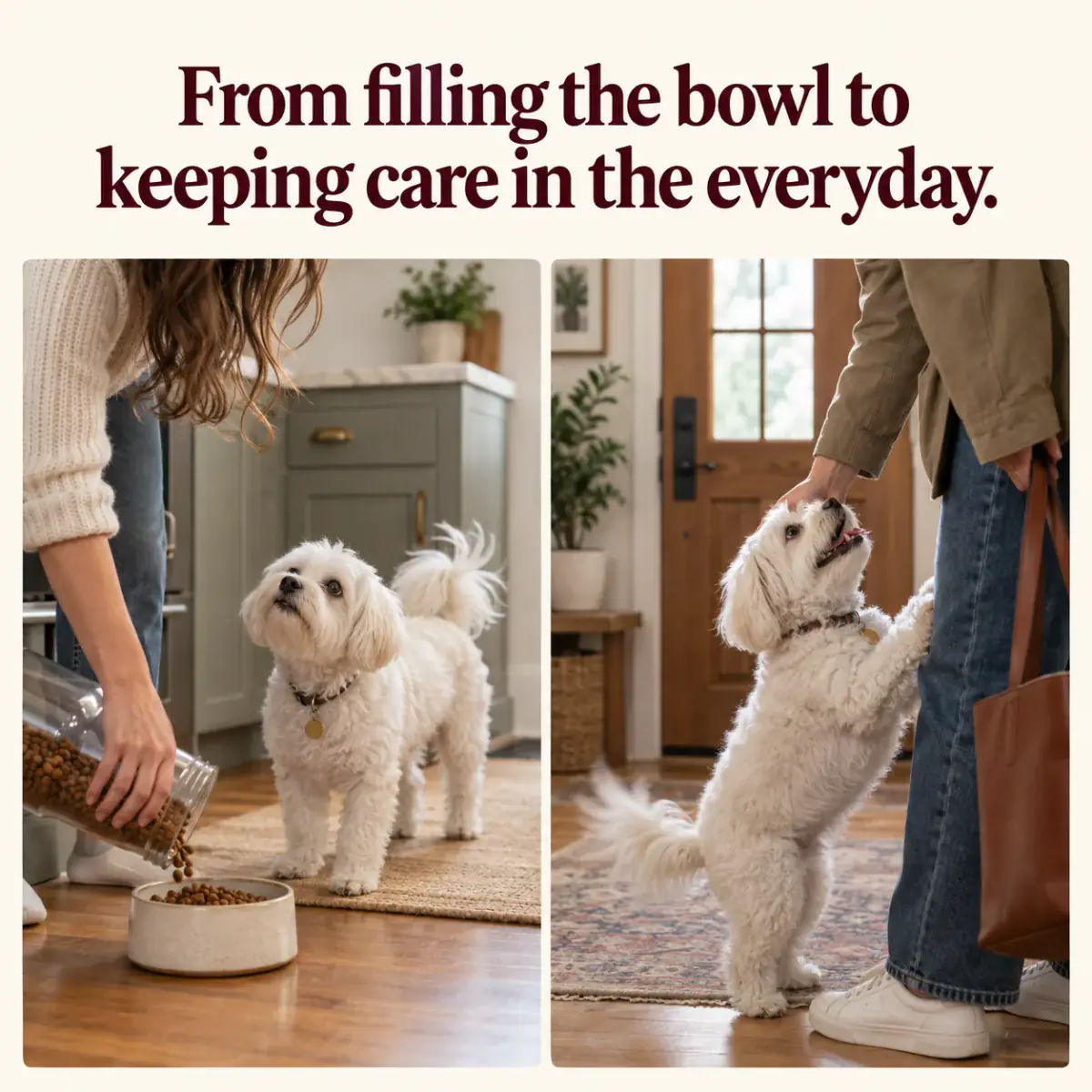 Every dog is different. Keep track of normal drinking, breath and bowl hygiene.